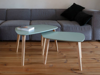Stolik Kawowy Endocarp 110x66x45cm - Bobrza Glina / Jesion