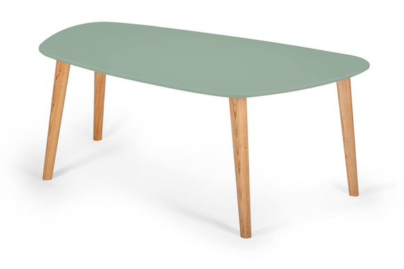 Stolik Kawowy Endocarp 110x66x45cm - Szałwiowy / Jesion