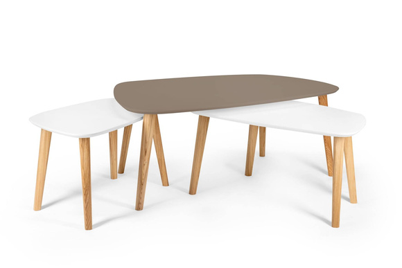 Stolik Kawowy Endocarp 110x66x45cm - Bobrza Glina / Jesion