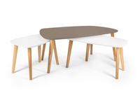 Stolik Kawowy Endocarp 110x66x45cm - Bobrza Glina / Jesion